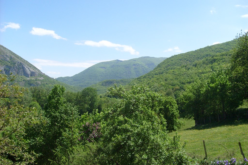 Vue sur les montagnes depuis les balcons de Melba