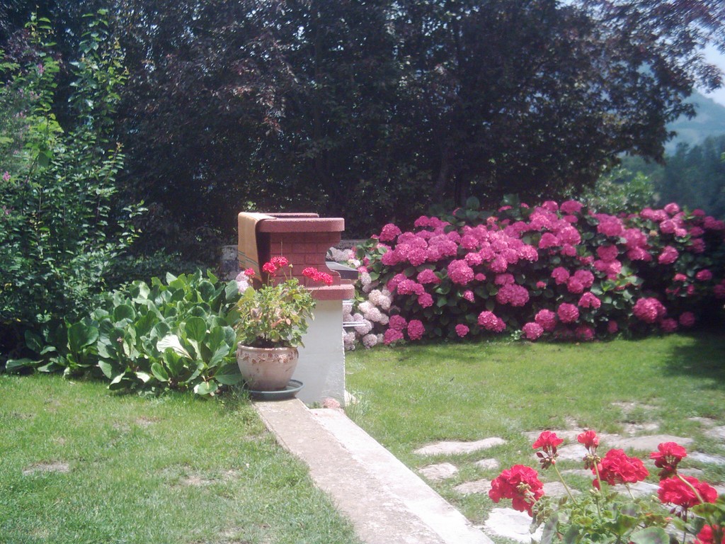 accès terrasse panoramique