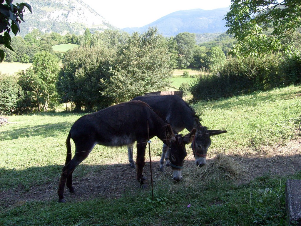 Mr Coquin et Melle Suzy