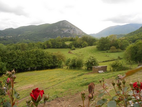 la vallée de Barousse.jpg