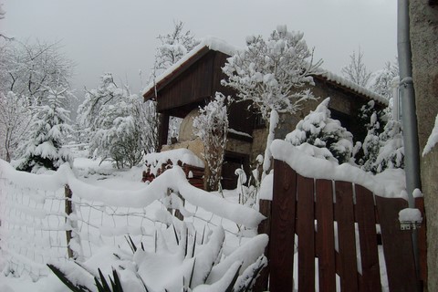 Jardin Melba sous la neige.jpg