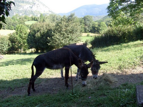 Mr Coquin et Melle Suzy